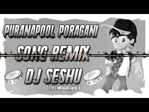 Puranapul poragani DJ song