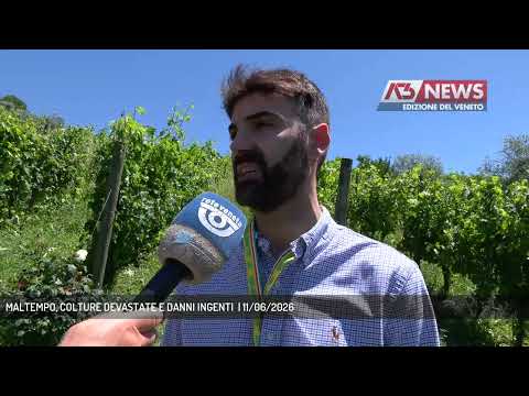 Video MALTEMPO, COLTURE DEVASTATE E DANNI INGENTI | 11/06/2026