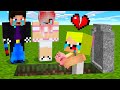 💔ПОЧЕМУ МЫ НЕ МОЖЕМ ПОМОЧЬ НУБИКУ В МАЙНКРАФТ? ШЕДИ ЛЕСКА И НУБИК MINECRAFT