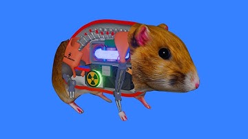 How a Hamster works