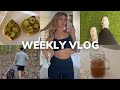 Productive weekly vlog  cleaning  organizing working out  getting my life together