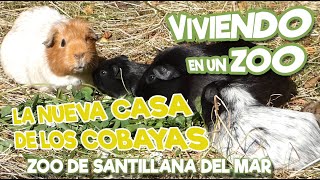 La nueva casa de los Cobayas