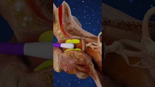 This Tiny Mistake Can Make You Deaf! 😱#shortsfeed #shorts