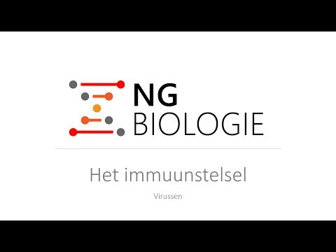 Het immuunstelsel - virussen - VWO