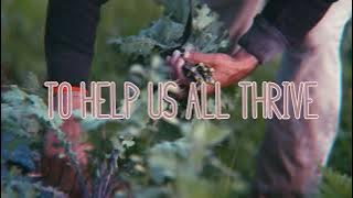 Hayes Carll - We're Only Human (Lyric Video)
