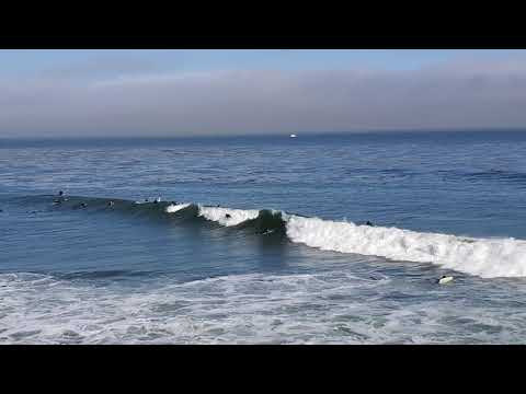 Surfers in Santa Cruz 2021 Opal Cliffs