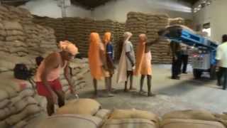 Railway Wagon Unloading to Stacking in warehouse