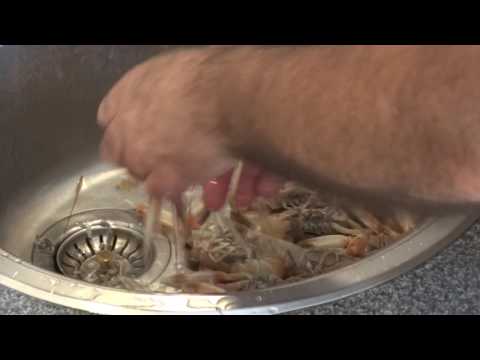 ŠKAMPI ČIŠĆENJE(shrimps cleaning)