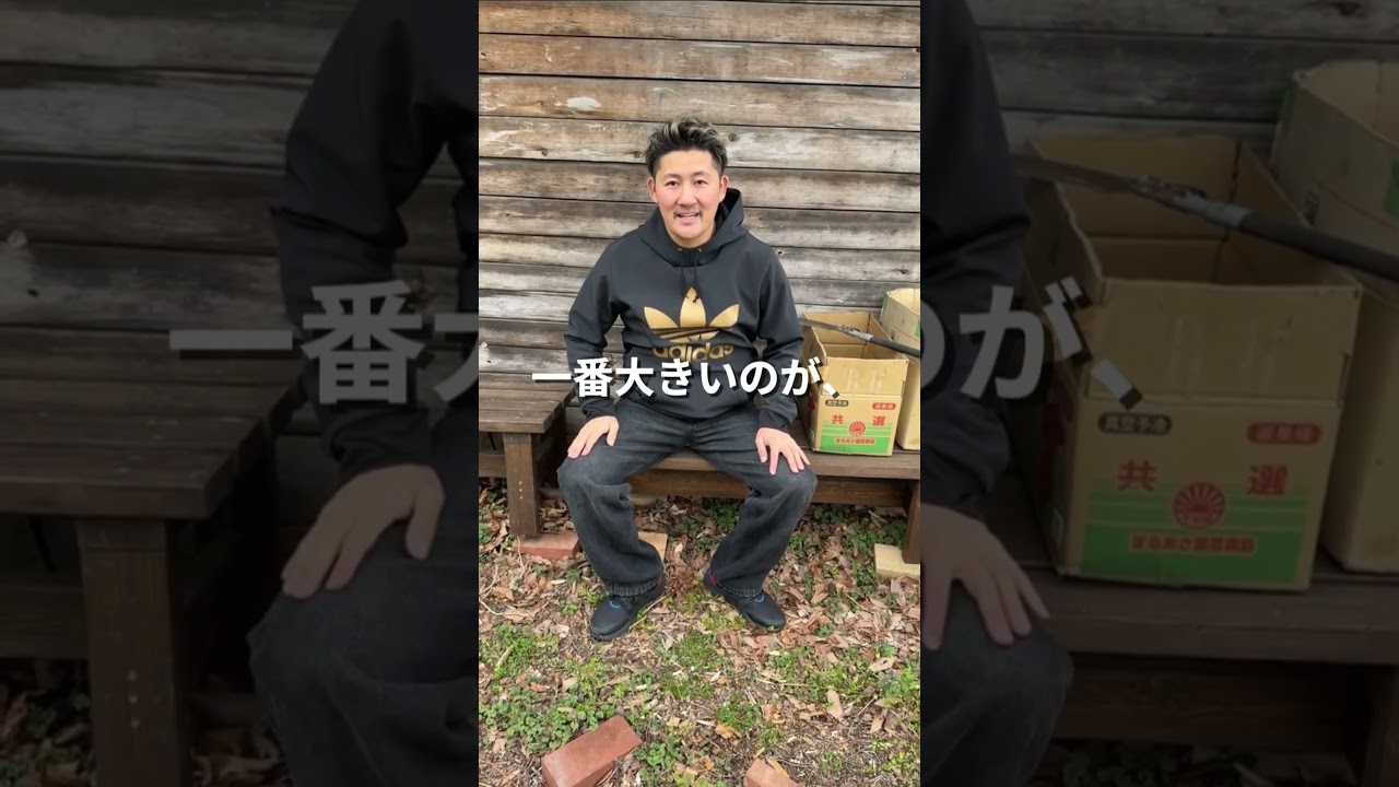 「あなたの応援が、この場所の未来になります。」#DIY #リフォーム #釣り堀経営 #ビフォーアフター #釣り好きと繋がりたい