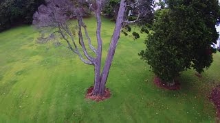 New Years Revolution Hasterc Fpv 60Fps