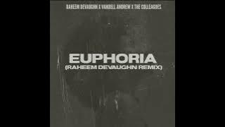Euphoria (Raheem DeVaughn Remix) - Raheem DeVaughn x Vandell Andrew x The Colleagues