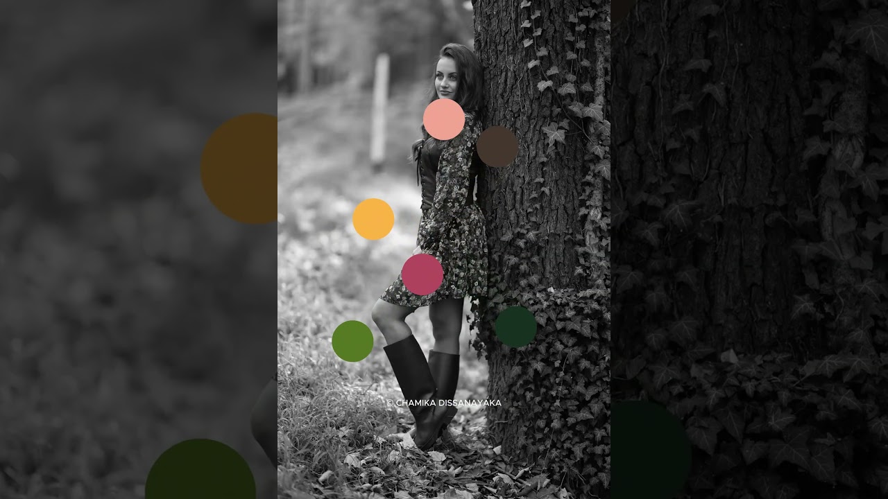 Custom Lightroom Preset Pack | Photo Before & After | Chamika Dissanayaka | SEEPiC | 