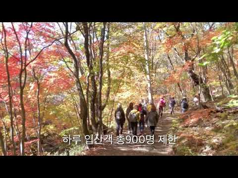 2019.10.16일 곰배령 단풍