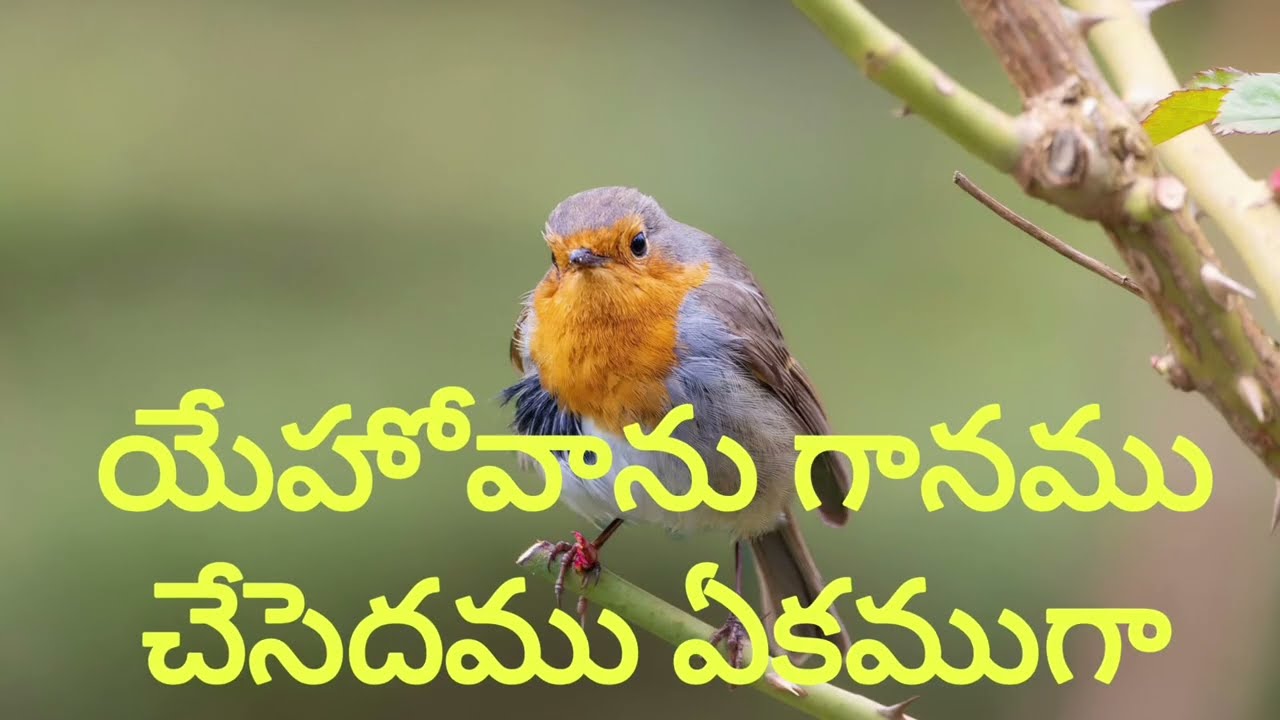 Yehovanu ganamu chesedamu Jesus Christ song prayer song bible song 