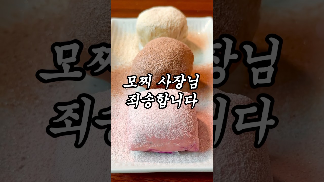 다이어트 요거트 모찌