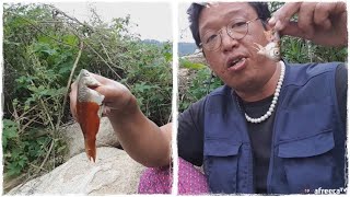 [SUB] Raw Live Fish Mukbang(Extreme Eating Show, Carp, Fishing)