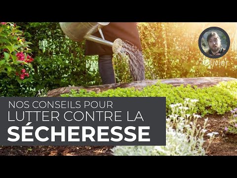 Vidéo: Jardiner en cas de sécheresse : conseils pour jardiner en cas de sécheresse