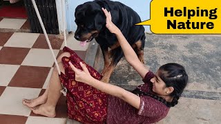 My dog ​​is too clever||most aggressive dog breed||rottweiler