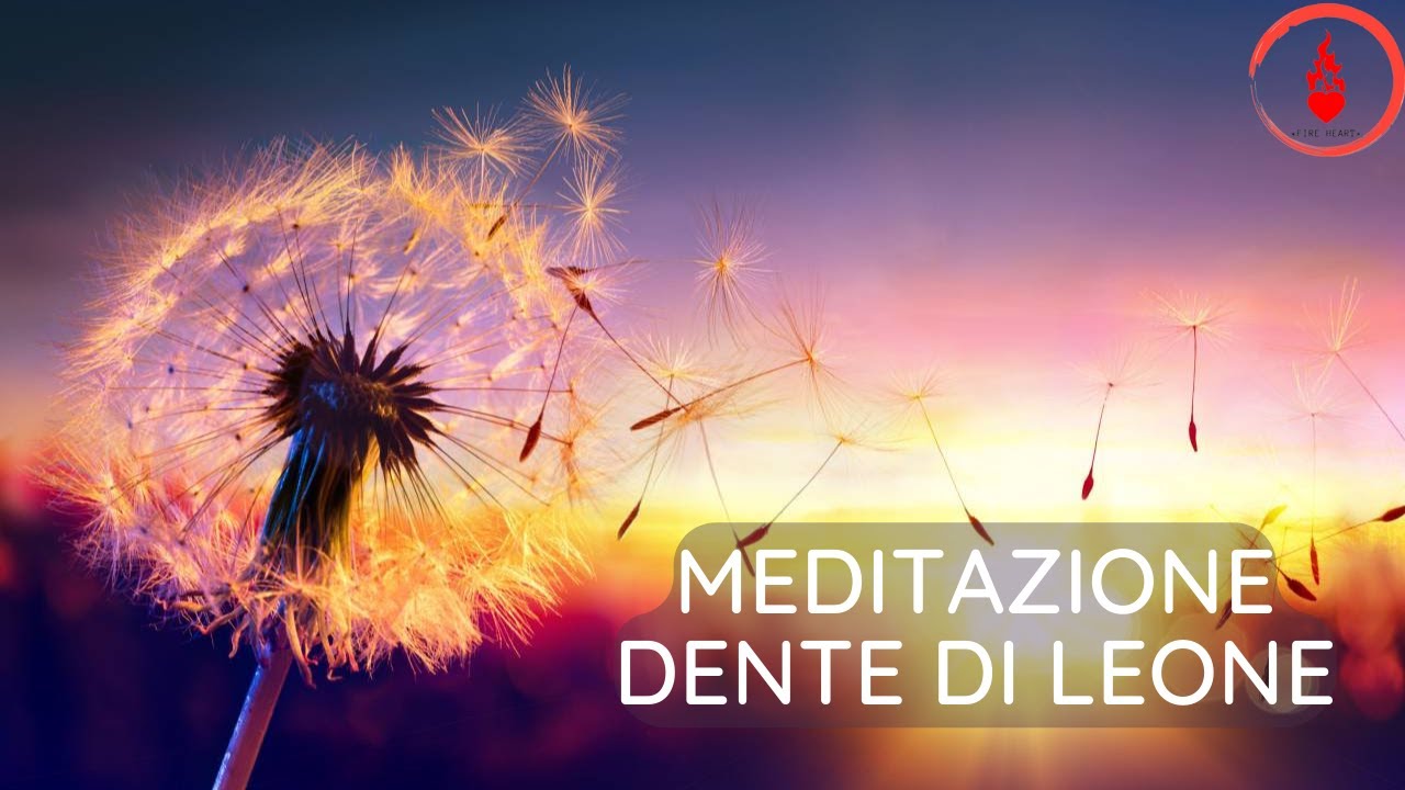 Meditazione guidata quotidiana di 10 minuti Rilassamento e allineamento ...