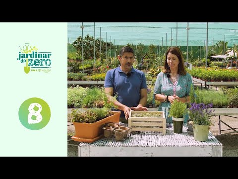 Vídeo: Jardinagem de ervas na zona 8 - Quais são as ervas populares para os jardins da zona 8