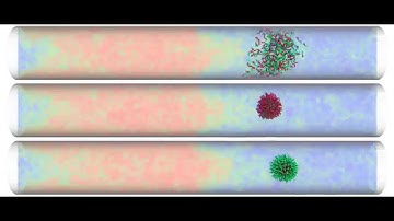 Thermo-responsive Micelle In Tube