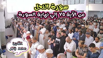 ما تيسر من سورة النحل .. الشيخ محمد زاهر #quran #تلاوة_خاشعة #تلاوات #تلاوة_هادئة