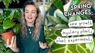 Hoya Suprises, Mystery Plants + BREAKTHROUGHS 🌿 A Planty Natter and Updates!