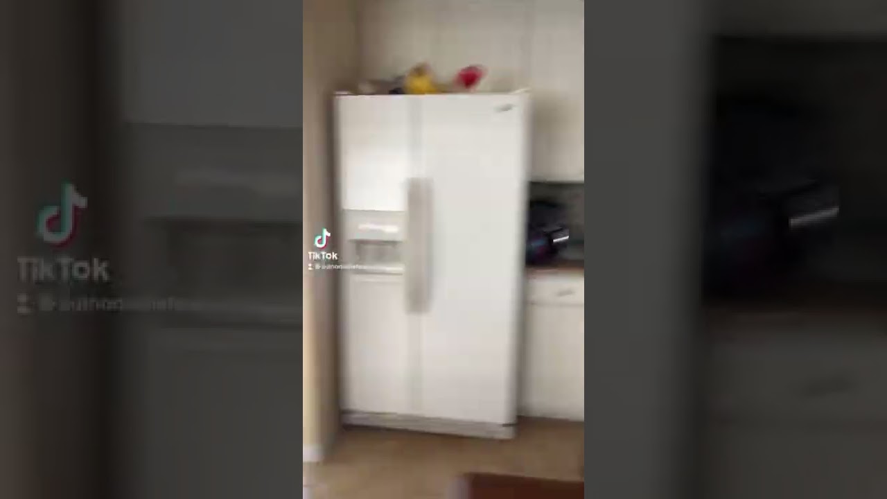 When you can’t find your pug 🐶 