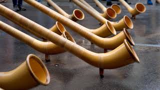 Havok - Waste Of Life (instrumental backing track)