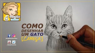 Como desenhar um Gato PASSO A PASSO - narrado 