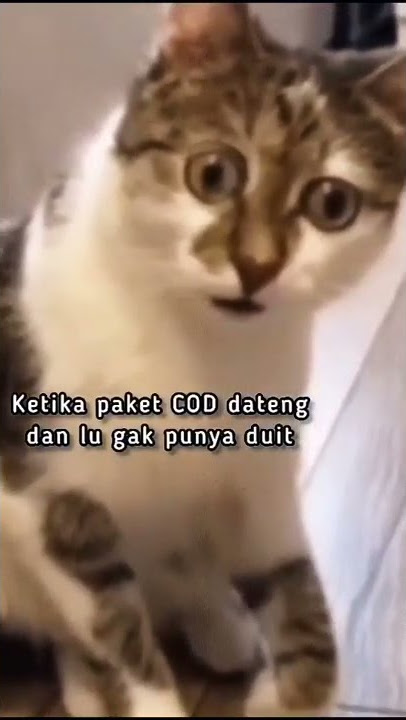 Status wa lucu: Saat paket cod dateng pas lagi bokek