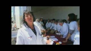 Animal Academy.avi