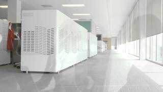 Welcome to the Imperial Campus