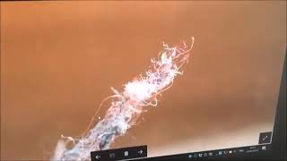 *MUST SEE* Smart Dust under Microscope