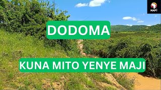 Maji Kwenye Mto wa Msimu Matumbulu Dodoma #dodoma #maji #mto