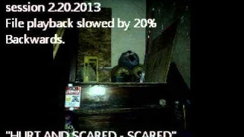 "HURT AND SCARED... SCARED" REVERSE EVP FROM ECHOVOX