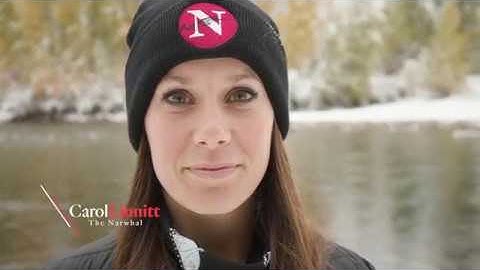 Coal Valley: The story of B.C.