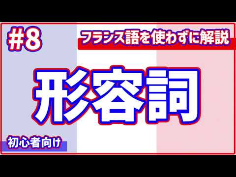 【フランス語初心者向け#8】形容詞って何?