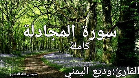 سورة المجادلة كاملة القارئ: وديع اليمني Surah Al-Mujadila: Wadih Al-Yamani
