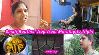 Small Routine Vlog | Tabiyat kharab | Aloo Parwal ki Sabji Recipe | Besan ki Barfi Recipe |Rainy Day