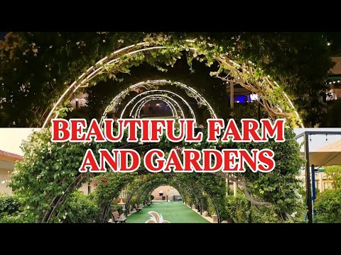 FARM VIEW AT NIGHT AND DAY 👌🤗 relaxing #amazing #video