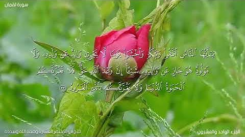 آيات من سورة لقمان بصوت الاخ أبي المنتصر العشارة وَفَّقَهُ اللَّهُ وَسَدَّهُ