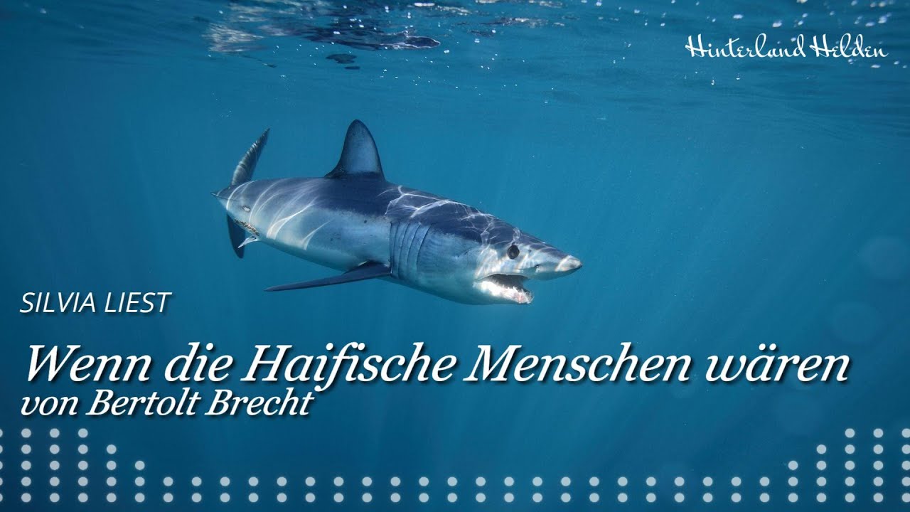 Wenn Die Menschen Haifische Wären Wenn die Haifische Menschen wären (Bertolt Brecht) - Silvia liest - YouTube