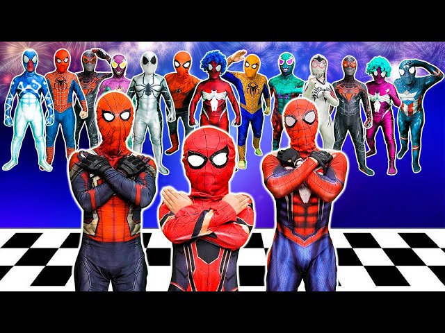 ヒーローズオペラ　スパイダーマン トイビズ スペシャル コレクターズ エディション