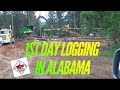 1ST DAY LOGGING IN ALABAMA 😁😁😁 at Hollis Farms