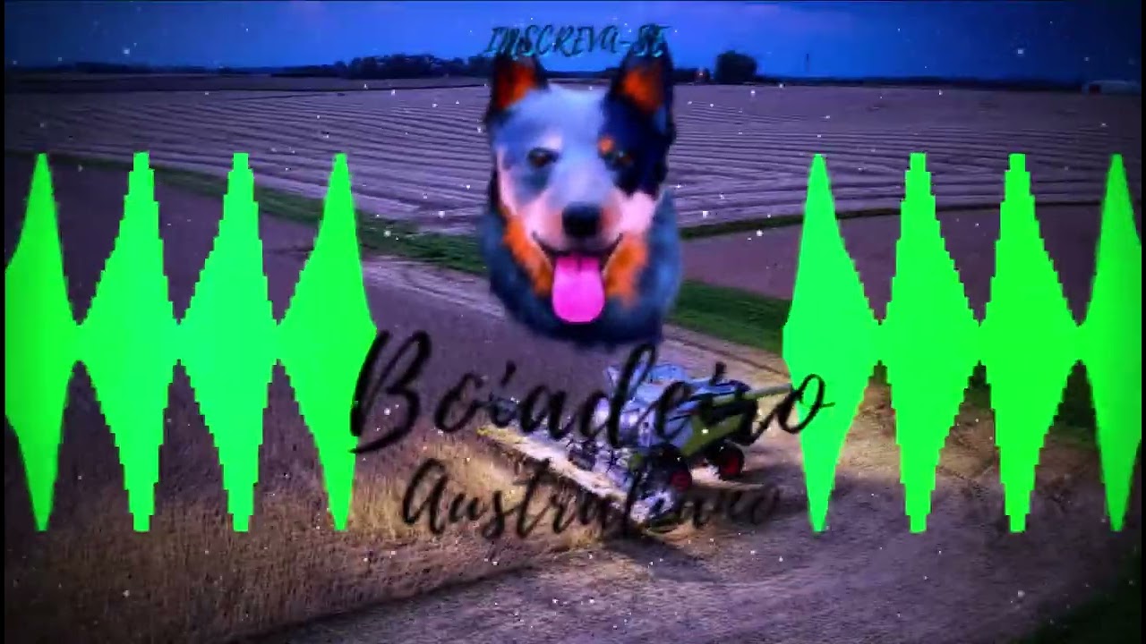 Ver Jean Lucas e Anderson - ÁLCOOL ABAIXO part. Mariana e Mateus -(BOIADEIRO AUSTRALIANO) no YouTube Ver Jean Lucas e Anderson - ÁLCOOL ABAIXO part. Mariana e Mateus -(BOIADEIRO AUSTRALIANO) no YouTube