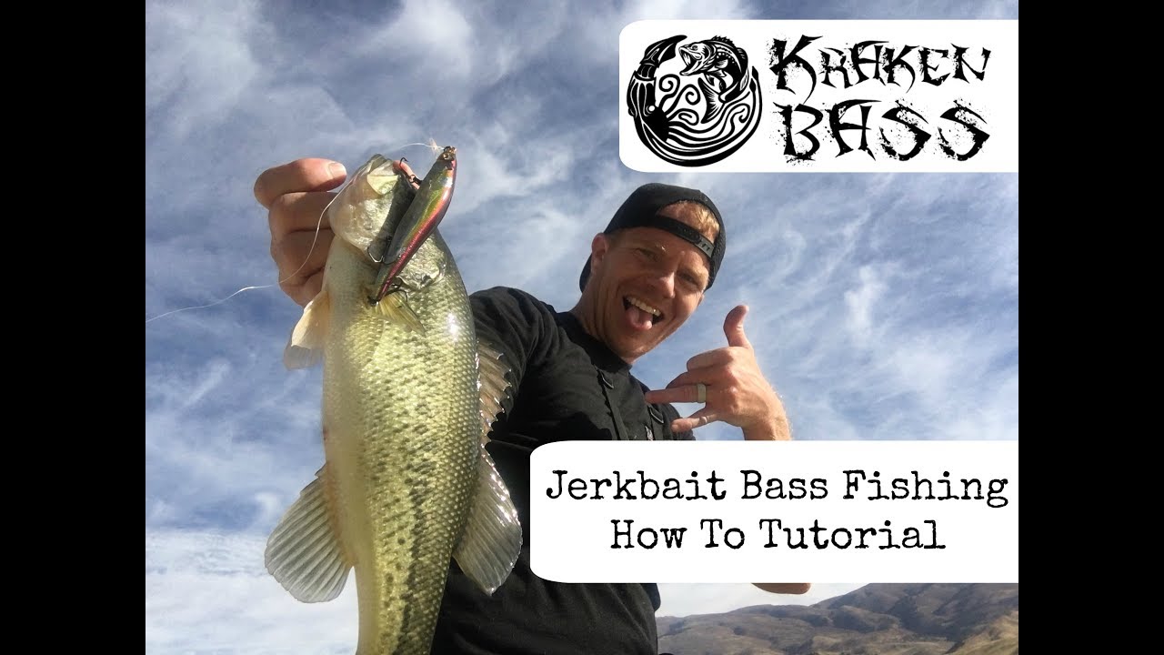 Bass Fishing Jerkbaits - When, where, how & what to use to catch