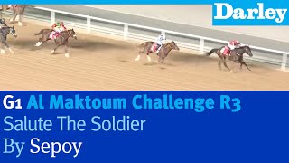 Salute the Soldier by Sepoy wins the G1 Al Maktoum Challenge R3 at Meydan