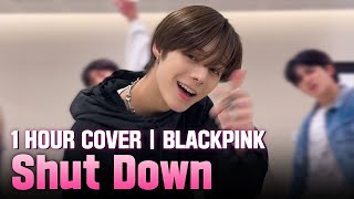 Dance Cover BLACKPINK - ‘Shut Down’ in 1 hour (+Pink Venom) 1 hour cover challenge (Trainee A)