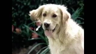 Flonase (2002) Television Commercial